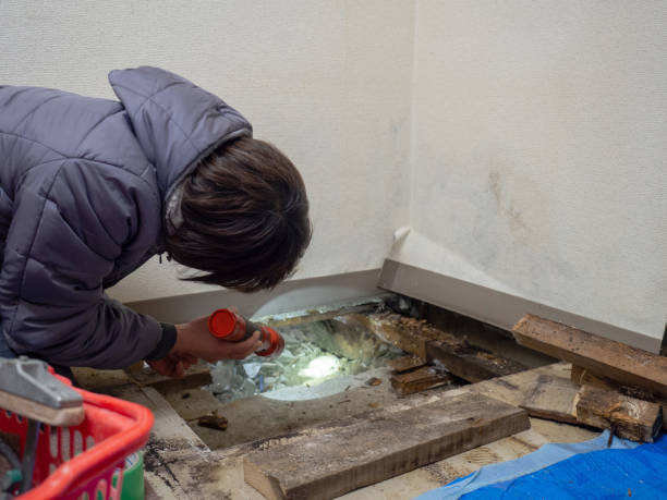 Best Crawl Space Mold Remediation  in Calverton, MD