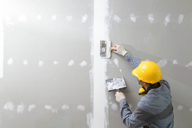 Best Water Damage & Mold Remediation  in Calverton, MD